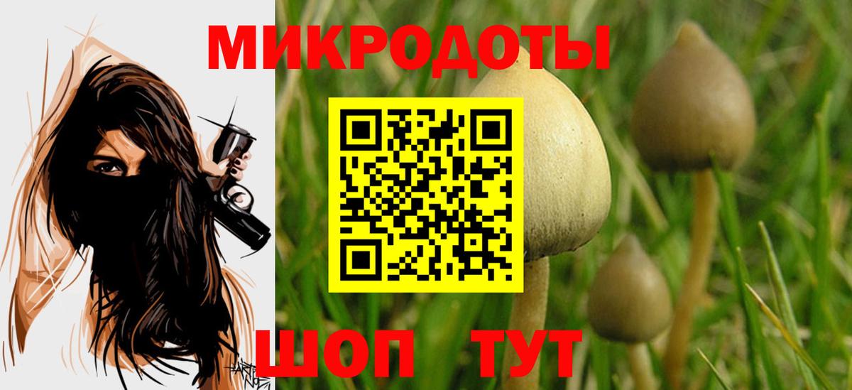Галлюциногенные грибы Psilocybine cubensis  где купить наркотик  Вход с VPN  Благодарный  Псилоцибиновые грибы Cubensis 